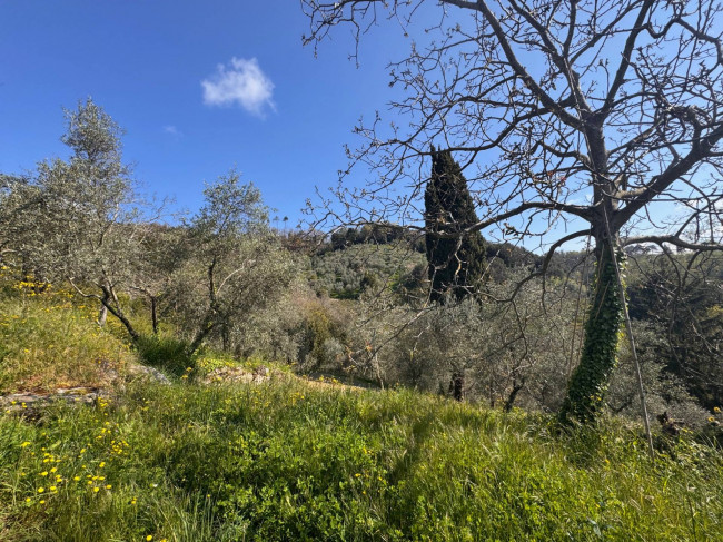 Farmhouse for sale in Lucca