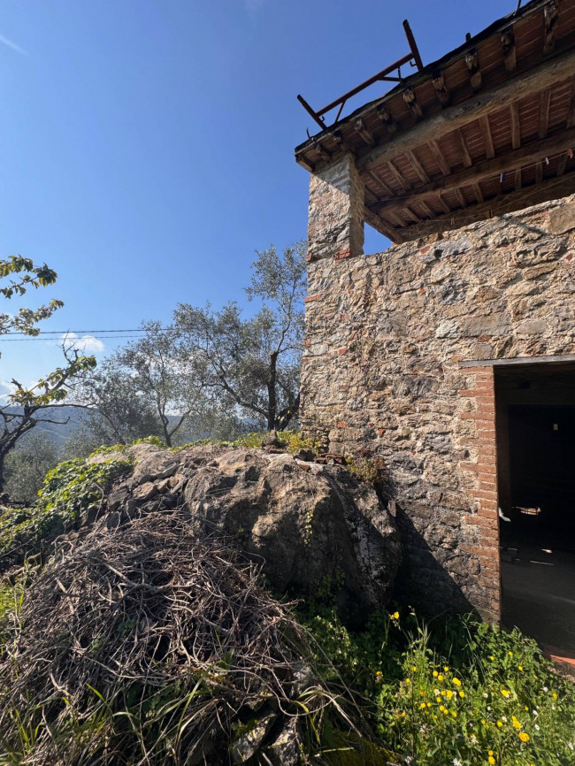 Farmhouse for sale in Lucca