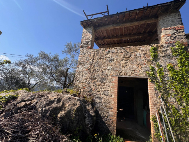 Farmhouse for sale in Lucca