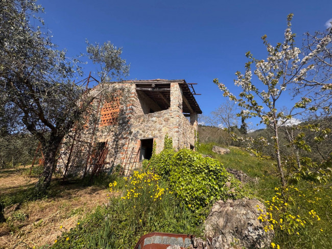 Farmhouse for sale in Lucca