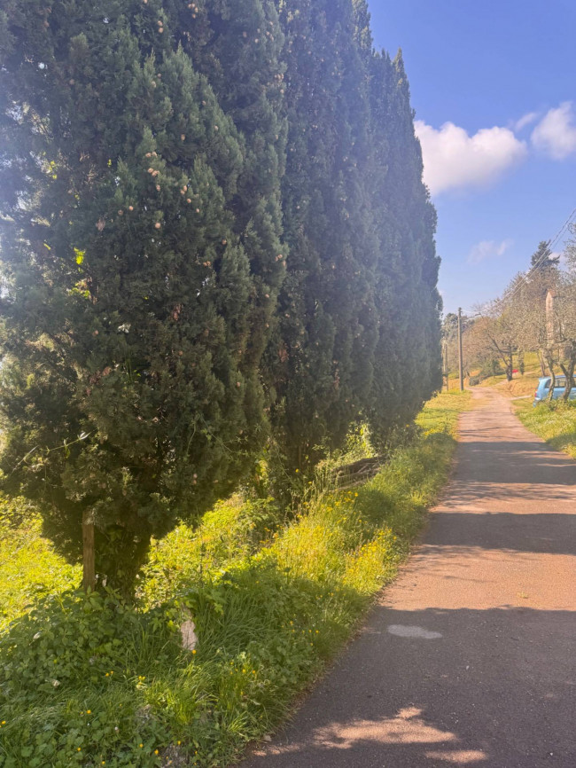 Farmhouse for sale in Lucca