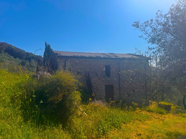 Farmhouse for sale in Lucca