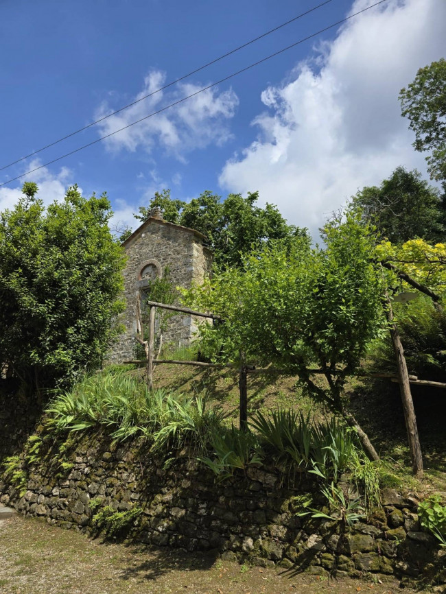 Farmhouse for sale in Camaiore