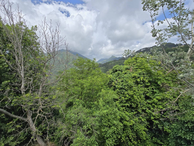 Farmhouse for sale in Camaiore