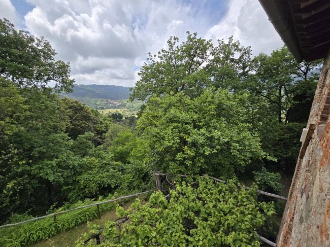 Farmhouse for sale in Camaiore