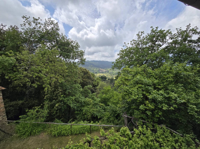 Farmhouse for sale in Camaiore