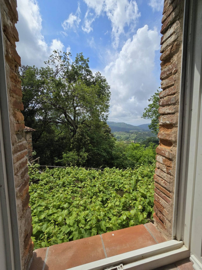 Farmhouse for sale in Camaiore