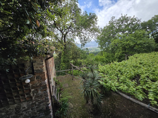 Farmhouse for sale in Camaiore