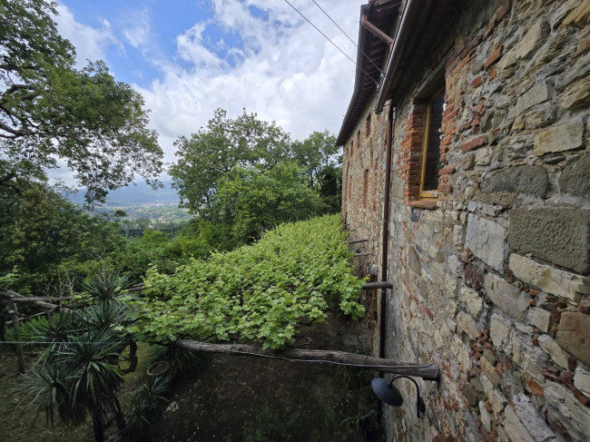 Farmhouse for sale in Camaiore