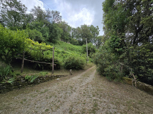 Farmhouse for sale in Camaiore