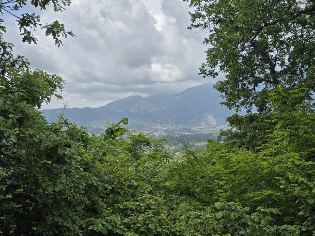 Farmhouse for sale in Camaiore