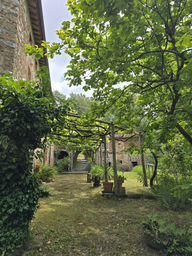 Farmhouse for sale in Camaiore