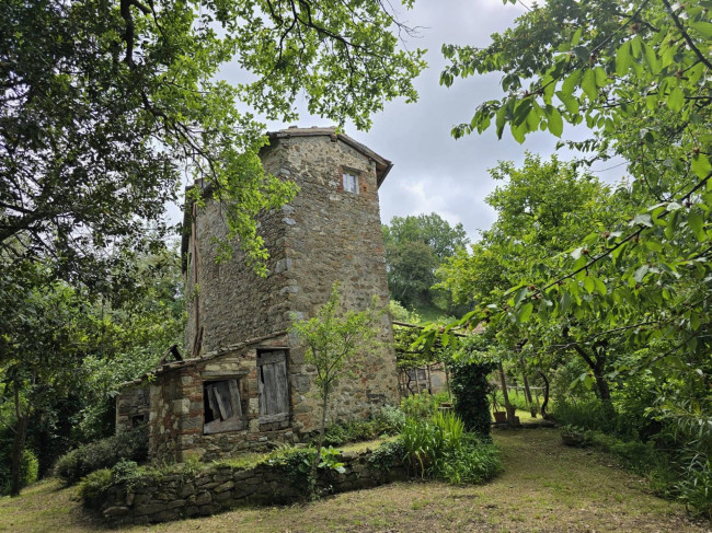 Farmhouse for sale in Camaiore