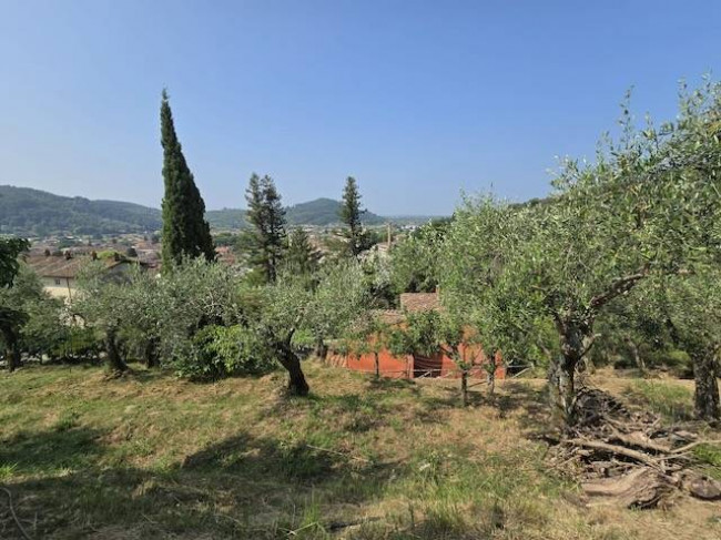 Rustico in vendita a Massarosa