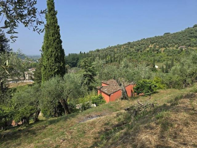 Rustico in vendita a Massarosa