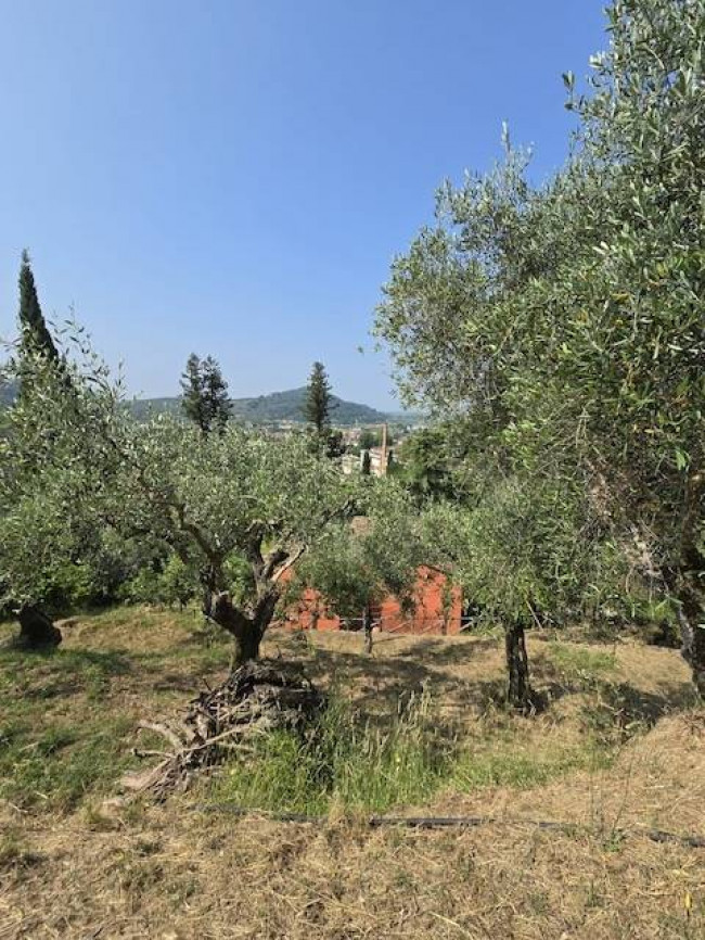Rustico in vendita a Massarosa