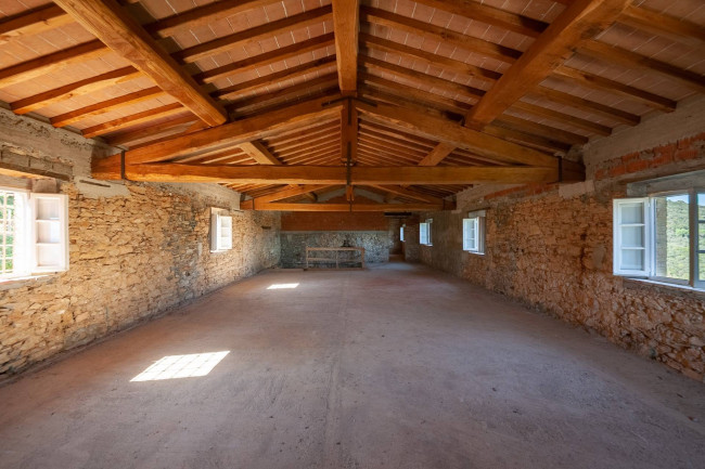 Farmhouse for sale in Lucca