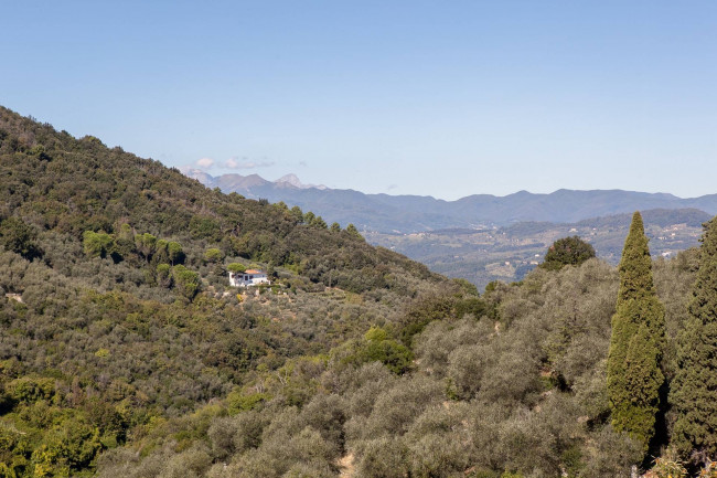 Farmhouse for sale in Lucca