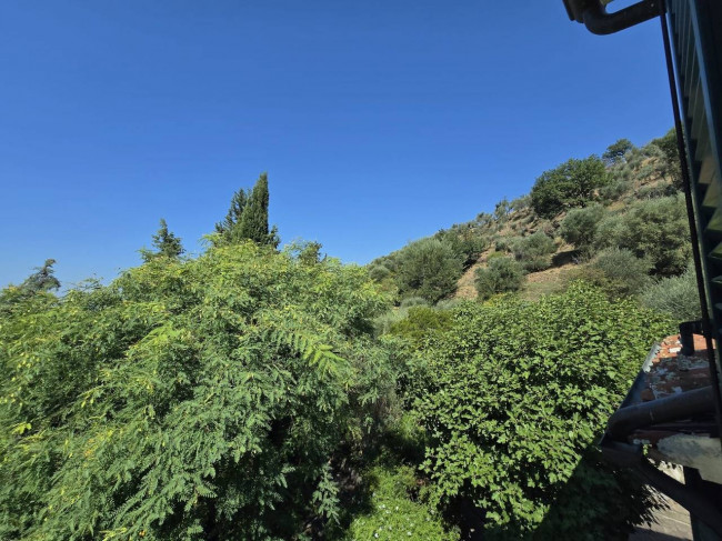Farmhouse for sale in Massarosa