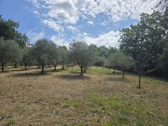 Villa for sale in Lucca