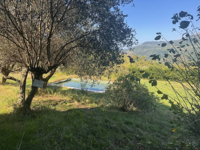 Farmhouse for sale in Lucca