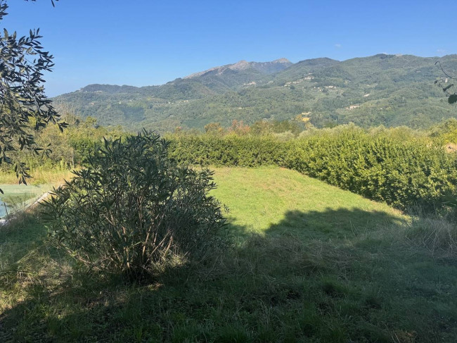 Farmhouse for sale in Lucca