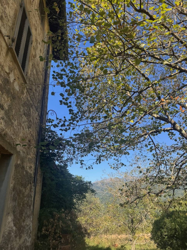 Farmhouse for sale in Lucca