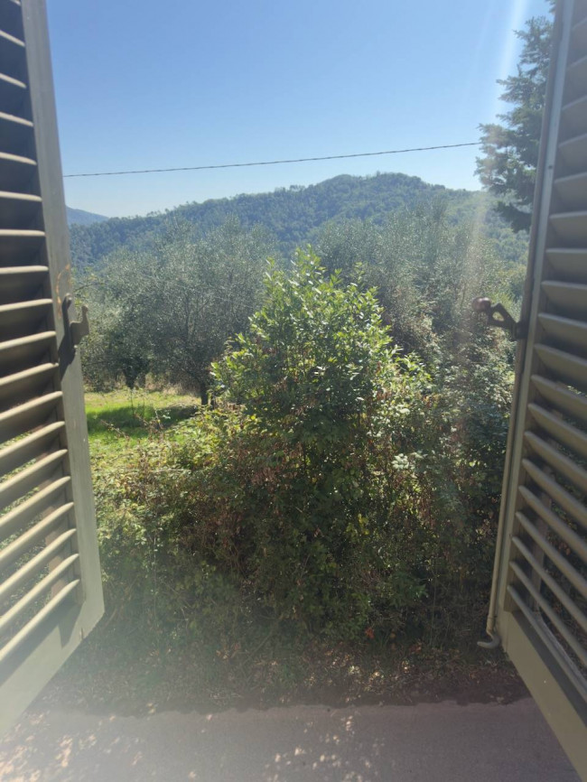 Farmhouse for sale in Lucca