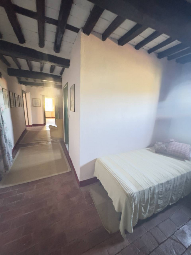 Farmhouse for sale in Lucca