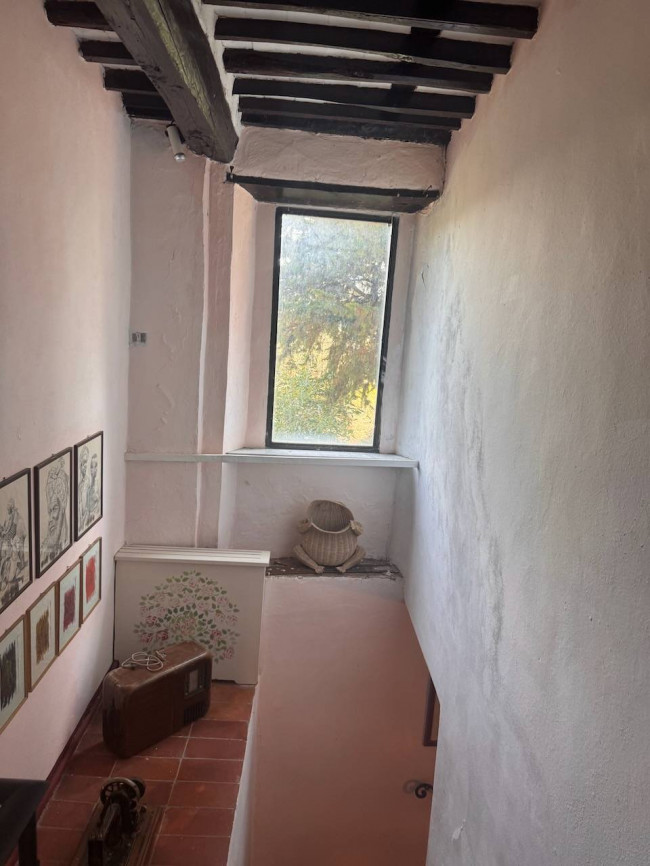 Farmhouse for sale in Lucca