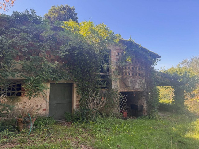 Farmhouse for sale in Lucca