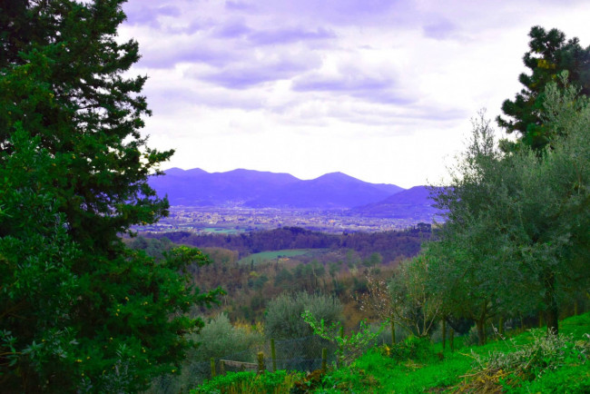 Casale in affitto a Lucca