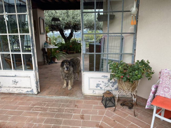 Casale in vendita a Massarosa