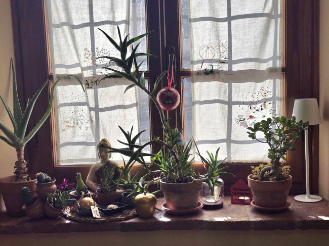 Rustico in vendita a Capannori