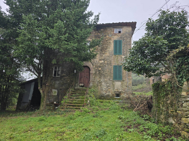 Rustico in vendita a Capannori