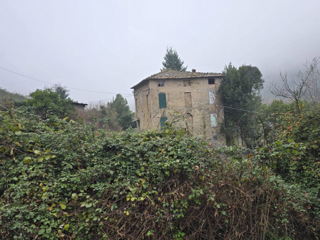 Rustico in vendita a Capannori