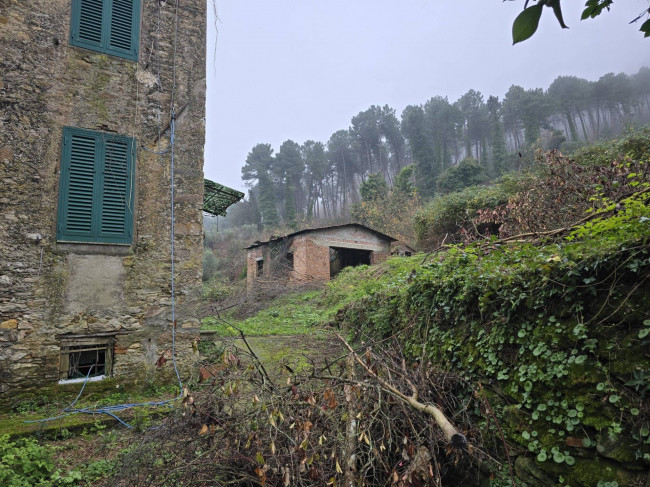 Rustico in vendita a Capannori