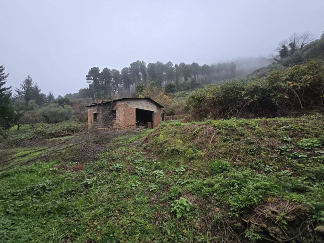 Rustico in vendita a Capannori