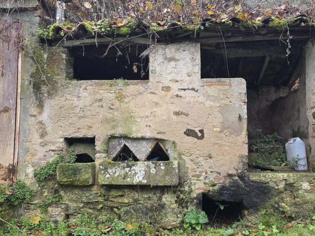 Rustico in vendita a Capannori