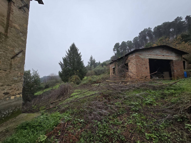 Rustico in vendita a Capannori