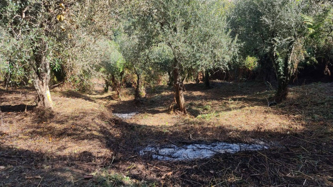 Rustico in vendita a Capannori