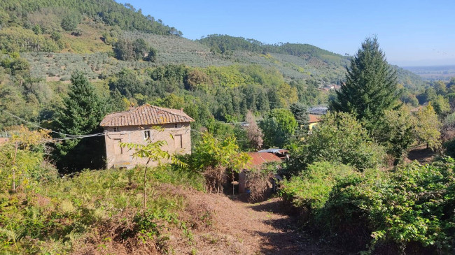 Rustico in vendita a Capannori