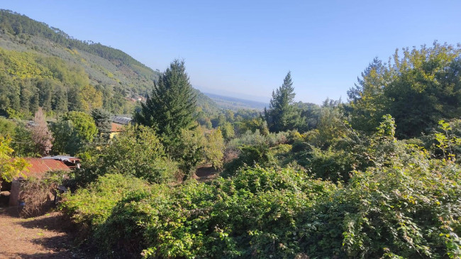 Rustico in vendita a Capannori