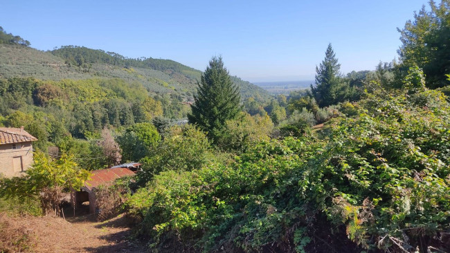 Rustico in vendita a Capannori