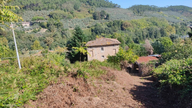 Rustico in vendita a Capannori