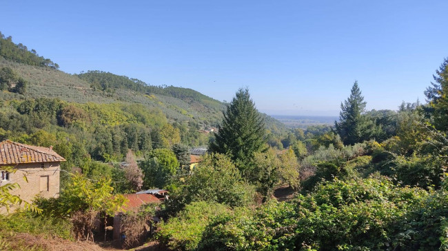 Rustico in vendita a Capannori