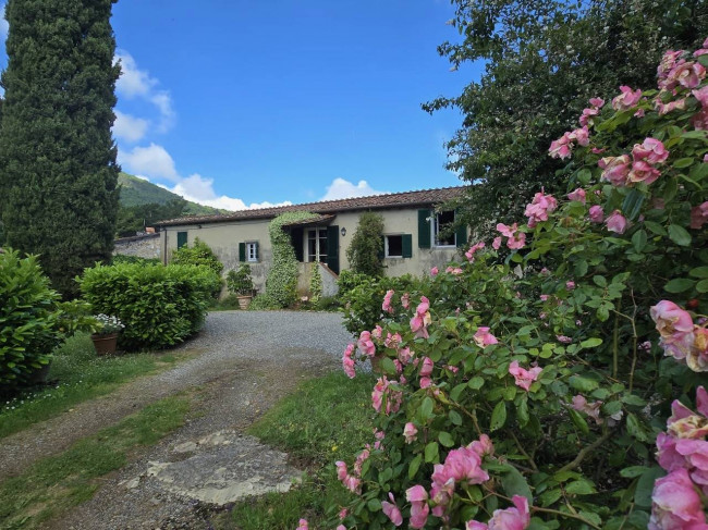 Farmhouse for sale in Lucca