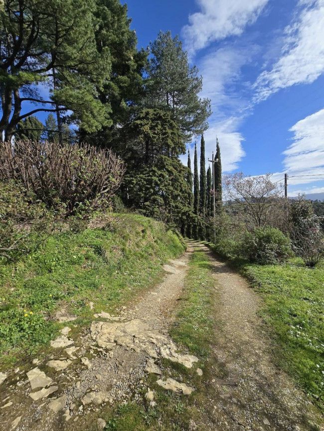 Rustico in vendita a Lucca