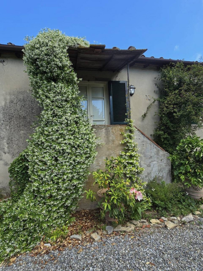 Rustico in vendita a Lucca