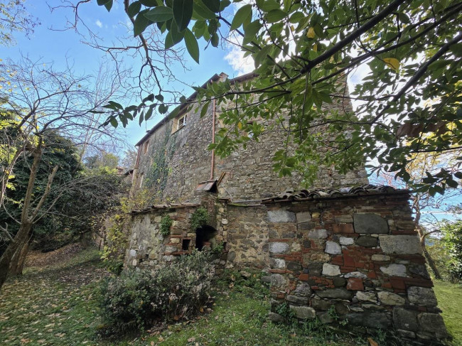 Farmhouse for sale in Camaiore